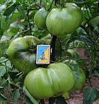     
: IMG_2889 - .jpg
: 32
:	123.4 
ID:	12793679