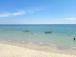     
: P80719-131048.jpg
: 9
:	101.6 
ID:	12793765