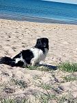     
: P80624-074943.jpg
: 9
:	170.5 
ID:	12794343