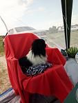     
: P80623-150524.jpg
: 8
:	79.7 
ID:	12794344