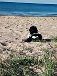     
: P80624-074720.jpg
: 9
:	195.1 
ID:	12794345