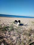     
: P80624-074956.jpg
: 10
:	168.0 
ID:	12794348