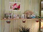     
: IMG_20180719_165719.jpg
: 73
:	146.9 
ID:	12795228