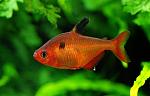     
: 1413610308_minor.jpg
: 21
:	74.0 
ID:	12795372