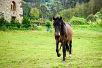     
: DSC04787-2.JPG
: 16
:	162.3 
ID:	12795630