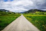     
: DSC04790-2.JPG
: 16
:	130.3 
ID:	12795631