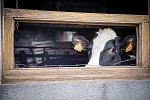     
: DSC04961-2.JPG
: 12
:	125.4 
ID:	12795633