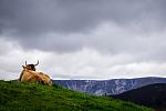     
: DSC05344-1.JPG
: 14
:	84.8 
ID:	12795643