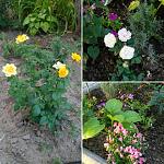     
: IMG_20180722_160239_927.jpg
: 21
:	179.4 
ID:	12797860