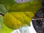     
: 20180723_075212.jpg
: 33
:	83.4 
ID:	12798589
