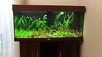     
: P_20180603_185542_vHDR_On.jpg
: 20
:	94.2 
ID:	12799214