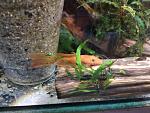     
: IMG_20180725_200707.jpg
: 10
:	155.8 
ID:	12801032