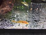     
: IMG_20180725_200850.jpg
: 14
:	161.3 
ID:	12801034