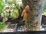     
: IMG_20180725_201137.jpg
: 10
:	187.1 
ID:	12801035