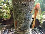    
: IMG_20180725_201229.jpg
: 13
:	177.1 
ID:	12801038