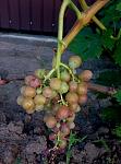     
: P80724-200504.jpg
: 12
:	95.0 
ID:	12801836