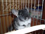     
: P7110200.jpg
: 22
:	131.5 
ID:	1280397