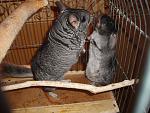     
: P7110196.jpg
: 30
:	160.5 
ID:	1280400