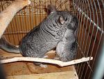     
: P7110197.jpg
: 37
:	182.7 
ID:	1280401