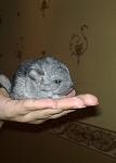     
: 190520091477.jpg
: 36
:	48.3 
ID:	1280422