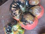     
: 20180729_181243.jpg
: 12
:	129.4 
ID:	12805902