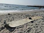     
: IMG_20180731_085204.jpg
: 83
:	250.7 
ID:	12806674
