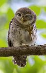     
: TELEMMGLPICT000123891390-xlarge_trans_NvBQzQNjv4Bqx1rGucoo2J_ExhuM2sOt-2KkiXth0yvs1prgxg7PzaA.jpg
: 6
:	43.2 
ID:	12809642