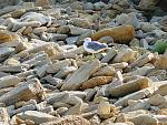     
: DSC05108.jpg
: 35
:	284.4 
ID:	12814099