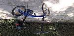     
: 20180806_135050.jpg
: 13
:	217.3 
ID:	12814822