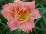     
: P1490150.jpg
: 17
:	88.8 
ID:	12816072