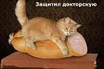     
: FB_IMG_1533758801877.jpg
: 6
:	59.1 
ID:	12818917