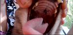     
: Screenshot from 2018-08-10 09-52-15.jpg
: 24
:	52.5 
ID:	12820860
