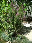     
: IMG_20180811_114857.jpg
: 8
:	259.3 
ID:	12821913