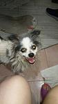     
: IMG-10de0ad5c01d677046da6b3ffe9121ee-V.jpg
: 15
:	54.0 
ID:	12822028