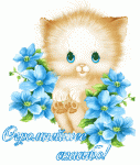     
: 4283fb1ff42fdb298ffc28a7b1b38123.gif
: 31
:	145.7 
ID:	12822065