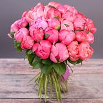     
: f85ad40de670991_orig.jpg
: 27
:	169.6 
ID:	12822066