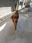     
: 20180816_140759.jpg
: 17
:	167.8 
ID:	12828647