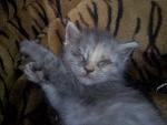     
: P80816-153145.jpg
: 81
:	100.4 
ID:	12828758