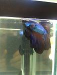     
: IMG_20180819_105837.jpg
: 16
:	64.7 
ID:	12831915