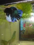     
: IMG_20180819_110033.jpg
: 16
:	62.0 
ID:	12831917