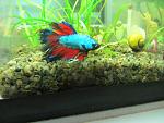     
: IMG_0030.jpg
: 19
:	125.8 
ID:	12831997