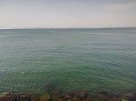     
: P80818-102644.jpg
: 34
:	160.2 
ID:	12832048