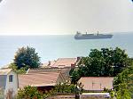     
: P80819-133743(1).jpg
: 38
:	173.0 
ID:	12832050