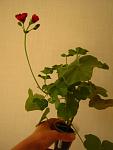     
: IMG_9915.jpg
: 23
:	59.7 
ID:	12832064