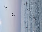     
: 55F57E4C-F95C-4144-8682-2083F5FE7A2B.jpg
: 30
:	65.3 
ID:	12832335
