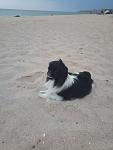     
: P80818-194240.jpg
: 8
:	81.5 
ID:	12832389
