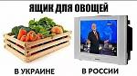     
: .jpg
: 25
:	30.2 
ID:	12834051