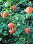     
: IMG_20180822_074538.jpg
: 12
:	148.8 
ID:	12836351