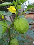     
: IMG_20180822_075853.jpg
: 8
:	76.1 
ID:	12836357