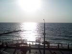     
: IMG_20180825_073856.jpg
: 29
:	103.6 
ID:	12839403